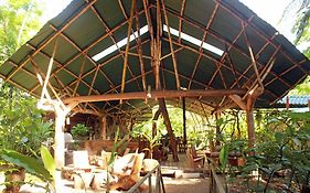 Danta Corcovado Lodge